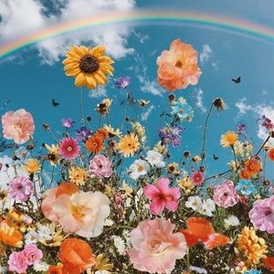 Meet your Posher, Iris